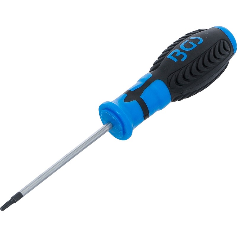 Tournevis | profil T (pour Torx) T10 | longueur de la lame 80 mm