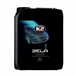 K2 BELA PRO 5 L ENERGIE FRUITS | Mousse active au pH neutre