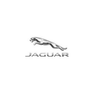 Pièces et Accessoires Jaguar | lecoindumecano.fr