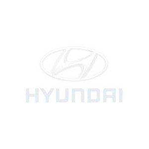 Pièces détachées et accessoires Hyundai Accent de 2010 à 2018