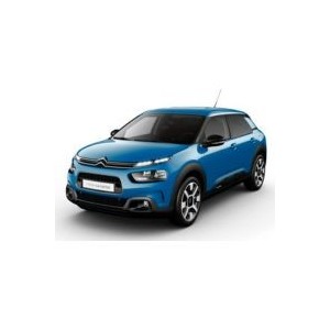 C4 Cactus après 2018